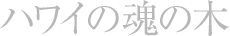 nC̖̍